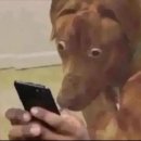 씨유 구산점 | 10월