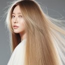 드라이데이 | 섬유유연제시트 추천 클린데이 건조기 드라이시트 후기