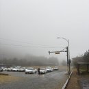 사려니숲길주차장 | 🌲 제주 사려니숲길 주차장에 호되게 당한 경험담!