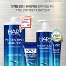 헤어짱플러스