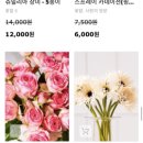플라워시티 네이버블로그