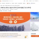 일본 훗카이도 삿포로 후라노 여행 비에이 투어 예약 크리스마스트리