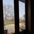 청수 | 제주 한경면 청수미방 후기｜파스타 맛집으로 추천하는 브런치 카페