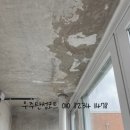 대전 베란다 페인트 중구 선화동 빌라 탄성코트 월드클래스 작업 후기