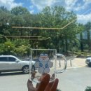 카페담다(cafe Damda) 이미지