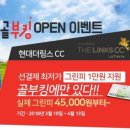 에이스골프닷컴 이미지