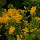 성내 PC방 이미지