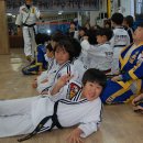 합기도 양우관 총본관 이미지