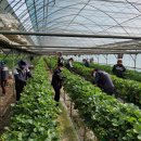 덕산읍행정복지센터 이미지