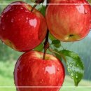 자연의 섭리 / 靑山 손병흥 이미지