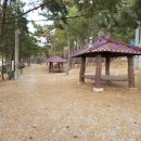 병술만 농어촌체험 휴양마을 이미지