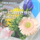 광화문세종문화회관 꽃집 인덕플라워앤와인 광화문점