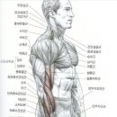 옥천헬스사우나 이미지