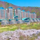 소노펠리체비발디파크 이미지