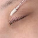 양산속눈썹펌 노글로우라 자극없이 편했던 파니브로우
