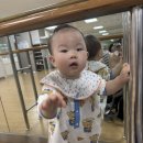 문센데이)아기별오감플레이 알록달록꽃밭 식용물감놀이