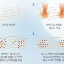 백앤미의원