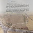 박거겸 장군 묘 | 특별전, 통일신라 - 첫 번째 통일 새로운 나라 -2