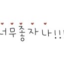 협재 하울 스테이 이미지