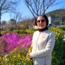 삼선 이미지