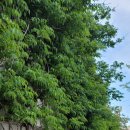 풍산주유소 이미지