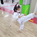 고려 태권도 체육관 이미지