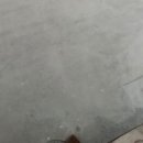 구정중앙로 이미지