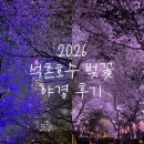(주)정도물산 | 2026 석촌호수 벚꽃 야경 다녀온 후기, 조명 시간과 포토스팟 정리