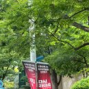 N-아시아드 이미지