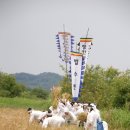 함안농요 이미지