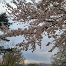 화동못 수변공원 이미지