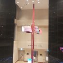 똥강아지몰