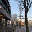 2024044 | 파주 금촌역맛집 로타리 파주시청 근처 삼겹살 3+1 혜자로운 가성비 찐후기 : 로타리 솥뚜껑