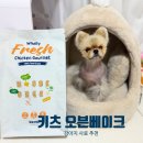 🌿🐶화식 영양을 그대로 담은 키츠 글루텐프리 오븐베이크 강아지사료 후기💚