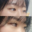 르플로 - 김제시 석정로 2-5 | 야탑속눈썹펌 고민 끝! 펌포인트연장으로 또렷해진 눈매 르플로 후기🥰🩷