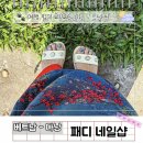샤이닝네일(shining nail) | 베트남 다낭 가성비 차오네일 속눈썹 발 마사지 각질 제거 가격 애견동반