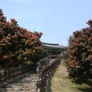 종합버스터미널 건너편 이미지