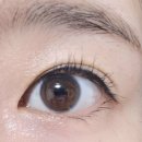 마스카라 추천 더롬브 워터프루트마스카라 컬킵 마스카라 후기