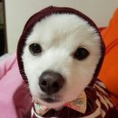 창현동물병원 이미지