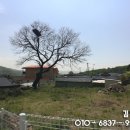 월항면 마을회관 이미지