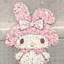 꼬무마켓 네이버블로그
