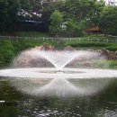 동사공원 이미지