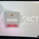 돌대가리 | sk케미칼 skct 후기 및 1차 면접후기