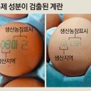 동아축산유통 이미지