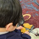 풀잎어린이집 | 부산 기장 정관 홈플러스 문화센터 풀잎아이 오감놀이 1년 꽉꽉 채워 들은 수강후기 박남선선생님 수업