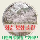 화순푸른솔요양병원 | 전남 화순 순천 보성 벚꽃길 드라이브