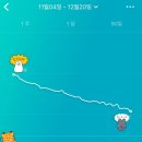 대단한 다이어터 네이버블로그