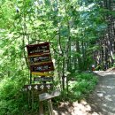 초록화원 이미지