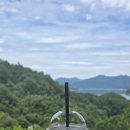 게으른 악어 이미지