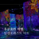 팀랩 | 후쿠오카 핫플 팀랩 포레스트 후기 실내 데이트 추천, 가격 정보